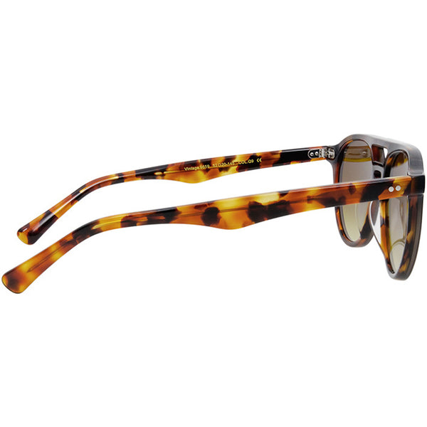 GCS1147 - Tortoiseshell B - image q4tsar