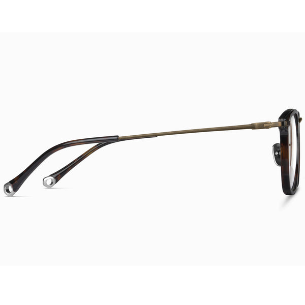 Square Glasses MW1202