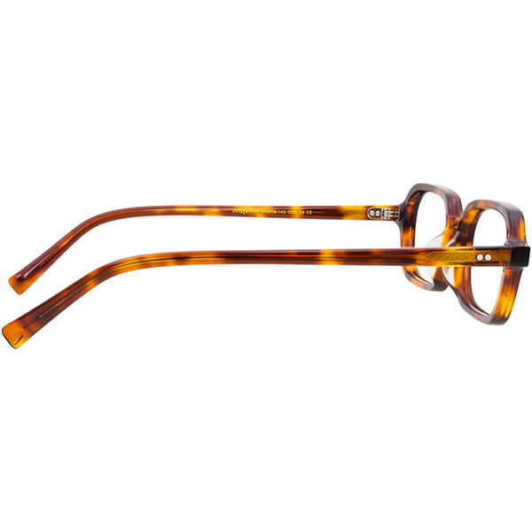 GC1139 - Tortoiseshell - image qae9jj