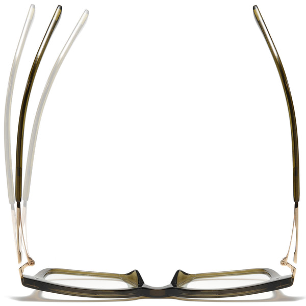 Square Glasses PF1421