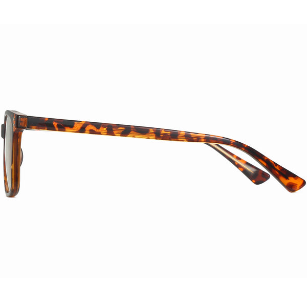 Square Glasses PF1431