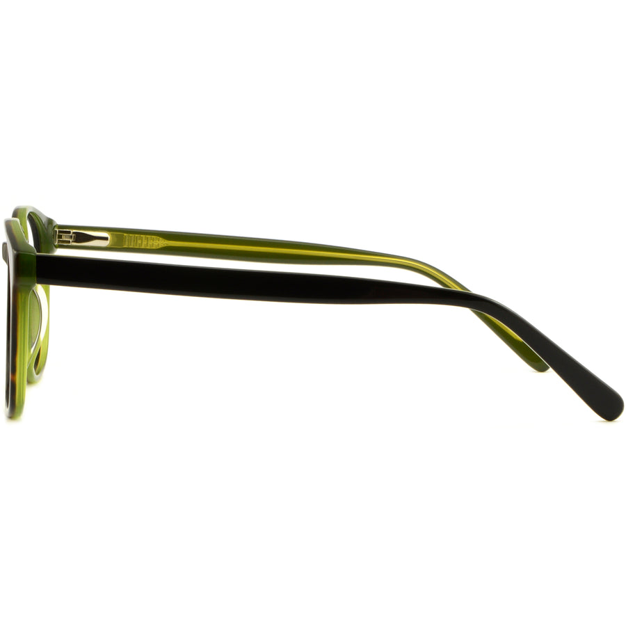 Square Glasses O2312