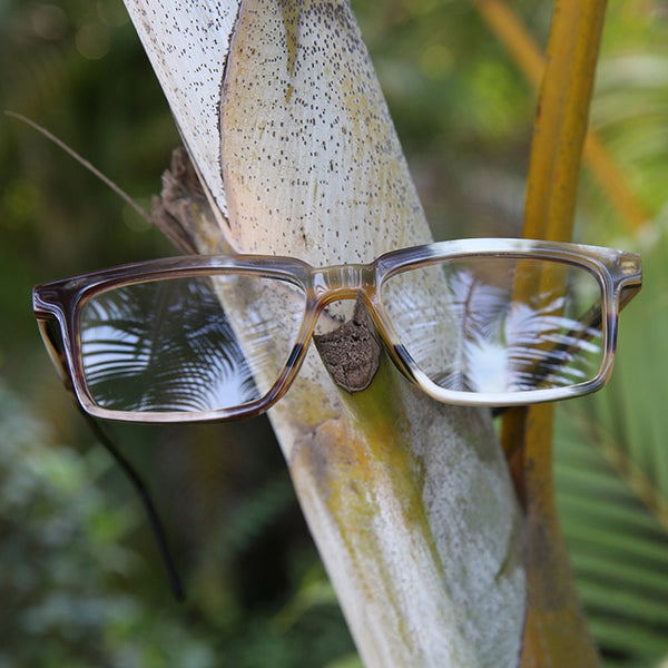Buffalo Horn Rectangle Glasses NJ1167