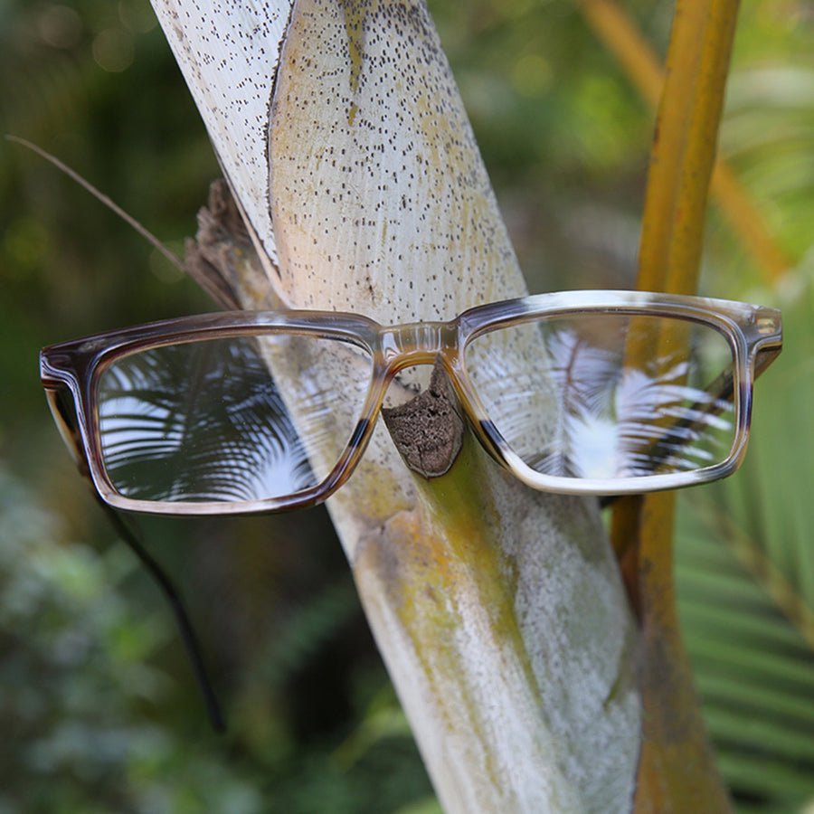 Buffalo Horn Rectangle Glasses NJ1167